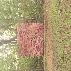 Pochette Grey Screen