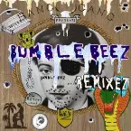 Pochette World Wild Web Remixez