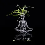 Pochette Digressions of a Sick Mind