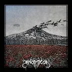 Pochette The Poppies Bloom for No King