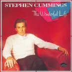 Pochette This Wonderful Life