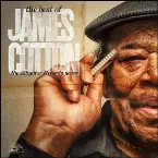 Pochette The Best of James Cotton - The Alligator Records Years