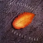 Pochette Orange Park