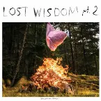 Pochette Lost Wisdom pt. 2