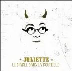Pochette Le Diable dans la bouteille