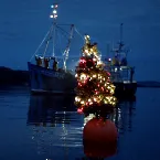Pochette The Christmas Song