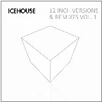 Pochette 12 Inch Versions & Remixes Vol.1