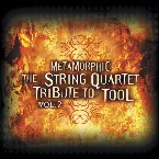 Pochette The String Quartet Tribute to Tool, Volume 2: Metamorphic