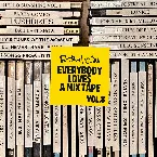 Pochette Everybody Loves a Mixtape, Vol. 8: All the Ladies (DJ mix)