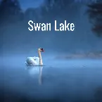 Pochette Swan Lake