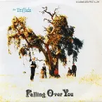 Pochette Falling Over You