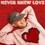 Pochette Never Knew Love