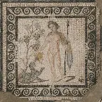 Pochette The Frenzy of Bacchus