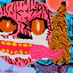 Pochette ANALCOMPOST + PASSENGEROFSHIT