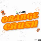 Pochette Orange Crush