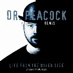 Pochette Life From the Other Side (Dr. Peacock remix)