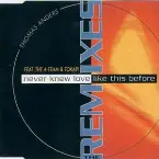 Pochette Never Knew Love Like This Before - The Remixes