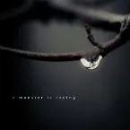 Pochette a monster is crying