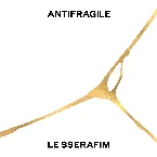 Pochette ANTIFRAGILE
