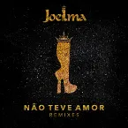 Pochette Não Teve Amor (Remixes)