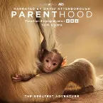 Pochette Parenthood: The Greatest Adventure (Music From The Programme On BBC)