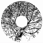 Pochette MMXX - 07: In All Due Deference