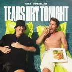 Pochette Tears Dry Tonight