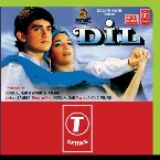 Pochette Dil