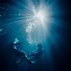 Pochette The Ocean