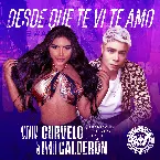 Pochette Desde que te vi te amo