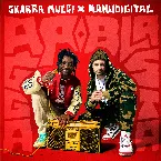 Pochette Ragga Blasta