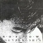 Pochette Sorrow