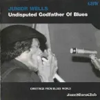 Pochette Undisputed Godfather of Blues