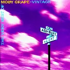 Pochette The Very Best of Moby Grape - Vintage