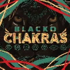 Pochette Chakras