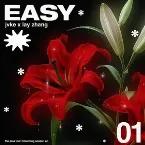 Pochette easy
