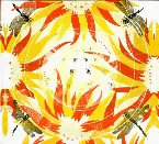 Pochette Come With Fierce Grace