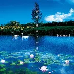 Pochette 憧憬、睡蓮と向日葵