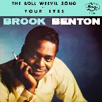 Pochette The Boll Weevil Song