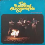 Pochette In vuur en vlam