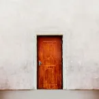 Pochette The Door - Stripped