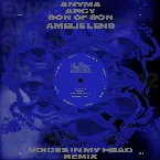 Pochette Voices in My Head (Amelie Lens remix)