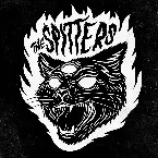 Pochette Kitty Brain