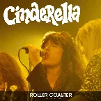 Pochette Roller Coaster (Live 1991)