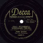 Pochette That Wonderful, Worrisome Feeling / The Way That the Wind Blows