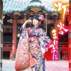 Pochette 灯火のまにまに