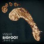 Pochette Bigfoot (remixes)