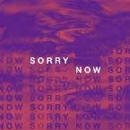 Pochette Sorry Now