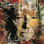 Pochette Do You Realize??