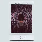 Pochette No Need to Argue